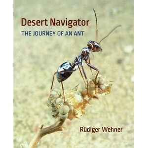 DESERT NAVIGATOR: THE JOURNEY OF AN ANT