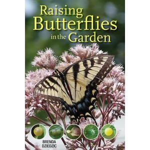 RAISING BUTTERFLIES IN THE GARDEN