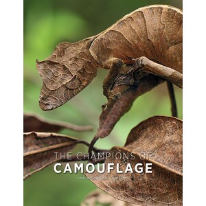 THE CHAMPIONS OF THE CAMOUFLAGE