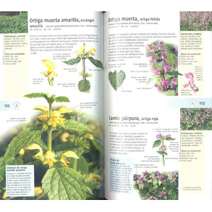 PLANTAS SILVESTRES COMESTIBLES. NUEVA GENERACIÓN DE GUÍAS DE CAMPO 3