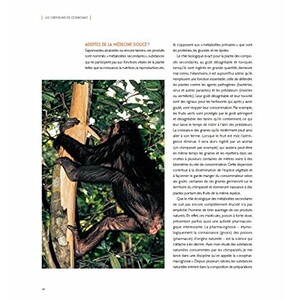 LES CHIMPANZÉS DES MONTS DE LA LUNE 4