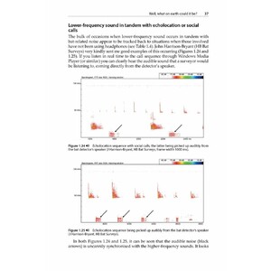 IS THAT A BAT?: A GUIDE TO NON-BAT SOUNDS ENCOUNTERED DURING BAT SURVEYS_1