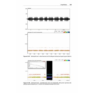 IS THAT A BAT?: A GUIDE TO NON-BAT SOUNDS ENCOUNTERED DURING BAT SURVEYS 6