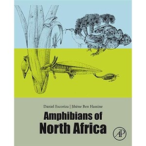 AMPHIBIANS OF NORTH AFRICA