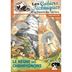 LE RÈGNE DES CHAMPIGNONS