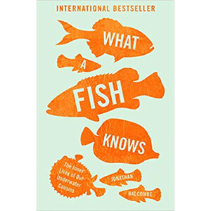 WHAT A FISH KNOWS