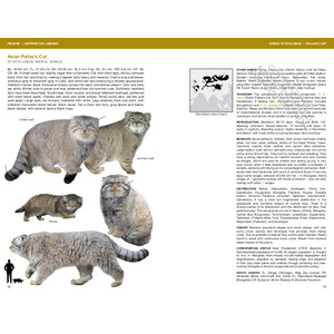 FELIDS AND HYENAS OF THE WORLD. WILD CATS, PANTHERS, LYNX, PUMAS, OCELOTS, CARACALS, AND RELATIVES_1