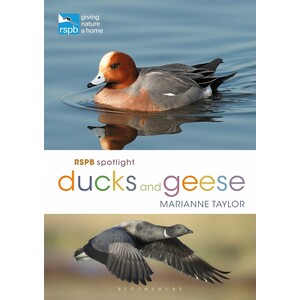 RSPB SPOTLIGHT. DUCKS AND GEESE