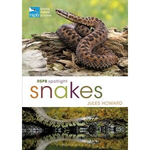 RSPB SPOTLIGHT SNAKES