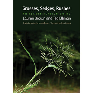 GRASSES, SEDGES, RUSHES: AN IDENTIFICATION GUIDE