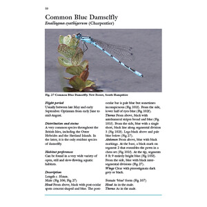 DRAGONS AND DAMSELS. AN IDENTIFICATION TO BRITISH AND IRISH ODONATA_1
