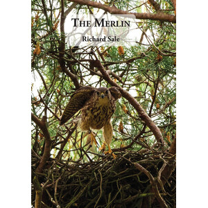 THE  MERLIN
