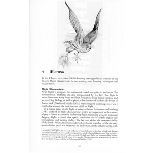 THE  MERLIN_1
