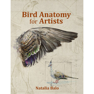 BIRD ANATOMY FOR ARTISTS COMPREHENSIVE GUIDE TO DRAWING BIRDS FOR ARTISTS AND BIRD LOVERS