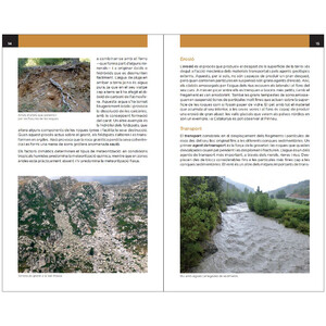 GUIA DE PUNTS D'INTERÈS GEOLÒGIC DE CATALUNYA 4