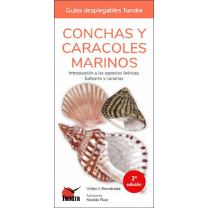 CONCHAS Y CARACOLES MARINOS. INTRODUCCIÓN A LAS ESPECIES IBÉRICAS, BALEARES Y CANARIAS. GUÍAS DESPLEGABLES TUNDRA