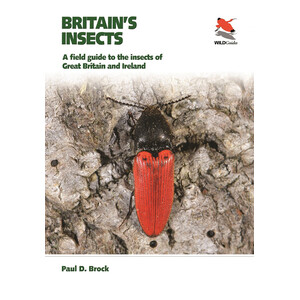 BRITAIN'S INSECTS. A FIELD GUIDE TO THE INSECTS OF GREAT BRITAIN AND IRELAND