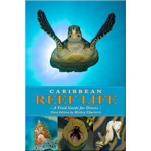 CARIBBEAN REEF LIFE. A FIELD GUIDE TO DIVERS