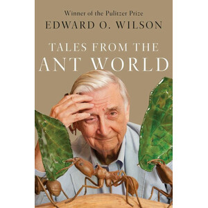 TALES FROM THE ANT WORLD