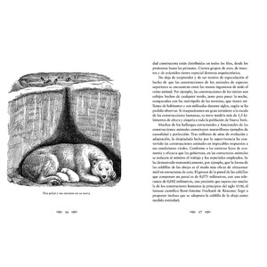 ANIMALES ARQUITECTOS_1