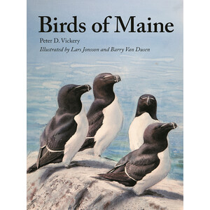 BIRDS OF MAINE