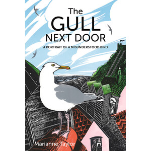 THE GULL NEXT DOOR. A PORTRAIT OF A MISUNDERSTOOD BIRD
