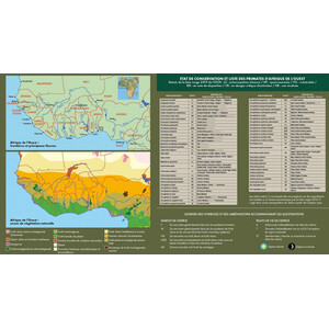 LES PRIMATES D'AFRIQUE DE L'OUEST. GUIDE D'IDENTIFICATION DE POCHE 3