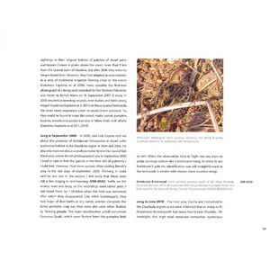 MOROCCO: SHARING THE BIRDS. A SOUND APPROACH GUIDE TO BIRDS OF THE MAGHREB 3