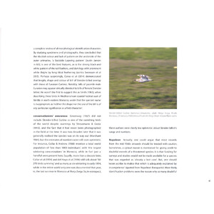 MOROCCO: SHARING THE BIRDS. A SOUND APPROACH GUIDE TO BIRDS OF THE MAGHREB 4