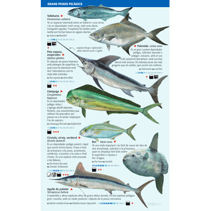PEIXOS PELÀGICS I DE FONS PROFUNDS DEL MAR BALEAR. MINIGUIA DE MAR_1