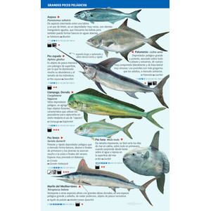 PECES PELÁGICOS Y DE FONDOS PROFUNDOS DEL MAR BALEAR. MINIGUIA DE MAR_1