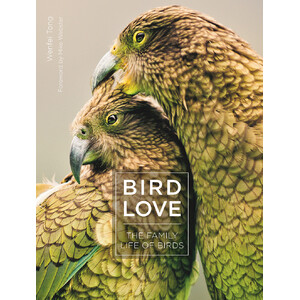 BIRD LOVE. THE FAMILY OF BIRDS