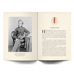 A NATURALIST IN THE AMAZON: THE JOURNALS &AMP; WRITINGS OF HENRY WALTER BATES_1