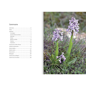 ORCHIDÉES D'EUROPE &AMP; DE MÉDITERRANÉE_1