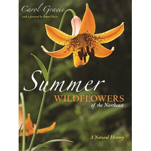 SUMMER WILDFLOWERS OF THE NORTHEAST. A NATURAL HISTORY