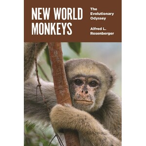 NEW WORLD MONKEYS. THE EVOLUTIONARY ODYSSEY