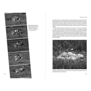 EL ÑANDÚ (RHEA AMERICANA)) 2