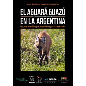 EL AGUARÁ GUAZÚ CHRYSOCYON BRACHYURUS EN LA ARGENTINA. LECCIONES APRENDIDAS Y RECOMENDACIONES PARA SU CONSERVACIÓN