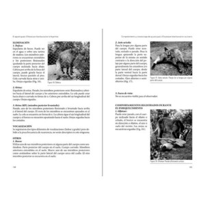 EL AGUARÁ GUAZÚ CHRYSOCYON BRACHYURUS EN LA ARGENTINA. LECCIONES APRENDIDAS Y RECOMENDACIONES PARA SU CONSERVACIÓN 4