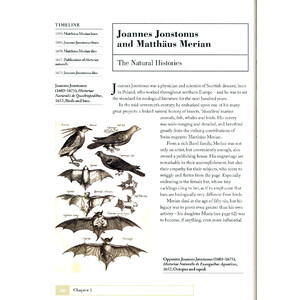 HOW ZOOLOGISTS ORGANIZE THINGS: THE ART OF CLASSIFICATION_1