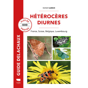 HÉTÉROCÈRES DIURNES. FRANCE, SUISSE, BELGIQUE, LUXEMBOURG