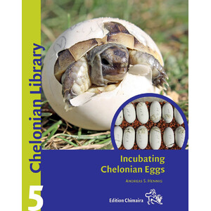 INCUBATING CHELONIAN EGGS