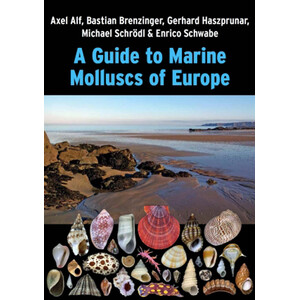 A GUIDE TO MARINE MOLLUSCS OF EUROPE