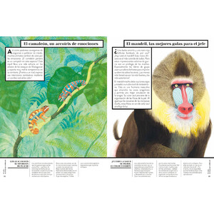 COLOR ANIMAL 5