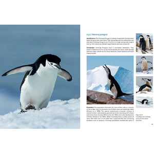 AROUND THE WORLD FOR PENGUINS. WHERE TO SEE ALL THE 18 PENGUIN SPECIES 3