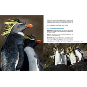 AROUND THE WORLD FOR PENGUINS. WHERE TO SEE ALL THE 18 PENGUIN SPECIES 4