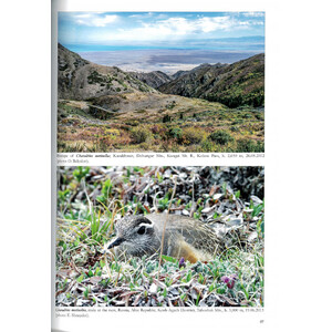 THE BIRDS OF PAMIRS, HISSAR, ALAI AND TIEN SHAN. VOLUME 1: NON-PASSERINES PART 2_1