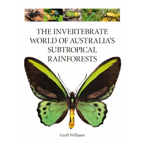 THE INVERTEBRATE WORLD OF AUSTRALIA'S SUBTROPICAL RAINFORESTS