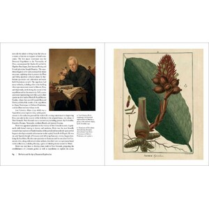 HERBARIUM. THE QUEST TO PRESERVE AND CLASSIFY THE WORLD'S PLANTS_1