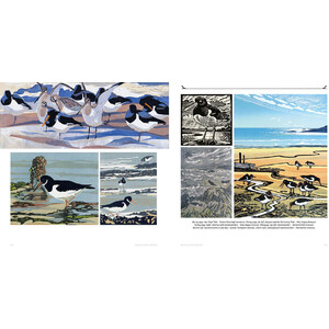 WINGS OVER WATER. WADERS, WILDFOWL, SEABIRDS &AMP; MORE 3